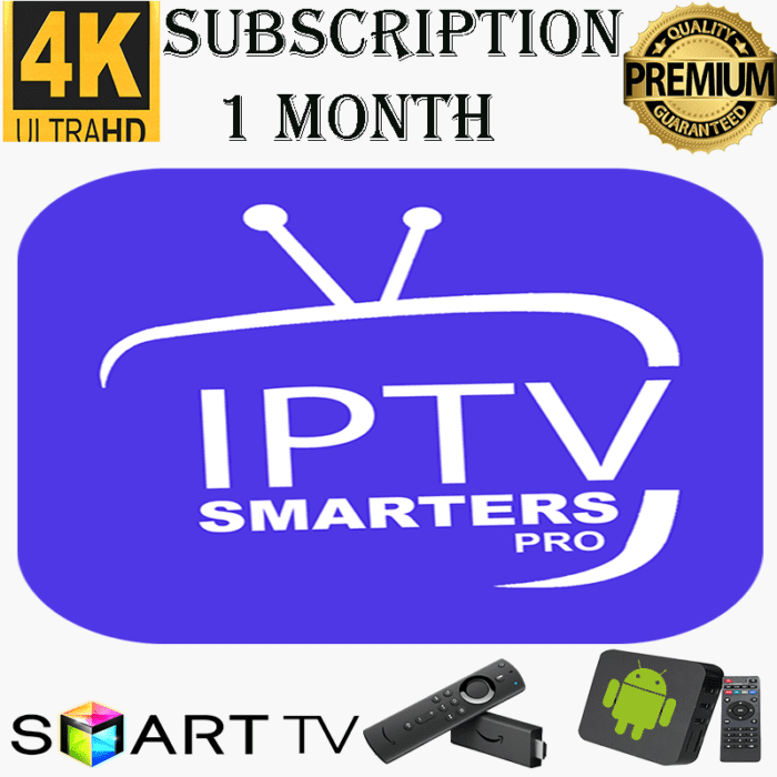 subscription 1 month iptv Worldwide Channels